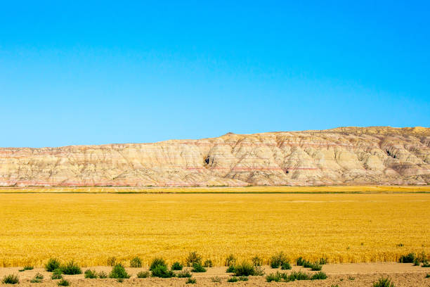 östliches south dakota abseits des interstate highway 90 mit blauem himmel - south dakota landscape stock-fotos und bilder