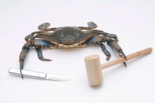 Eating Maryland Blue Crabs Stock Photo - Download Image Now - iStock