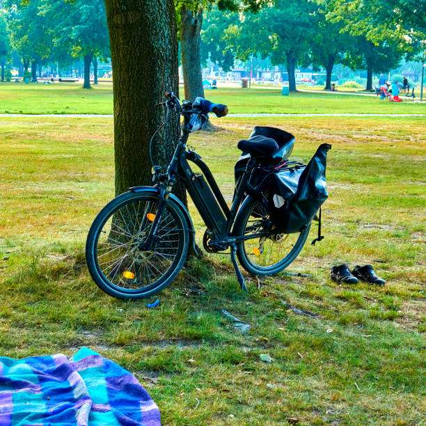 E-bike leaning against a tree on the lawn on a large lawn during a break on the bike tour stock photo