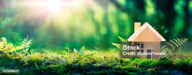 istock Eco House In Green Environment - Wooden Home Friendly On Grass 1312608621