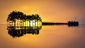 Silhouette of trees, grass and dock making the shape of a guitar reflected on a lake. Music in Nature, 3D illustration