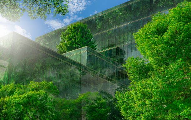 Eco-friendly building with vertical garden in modern city. Green tree forest on sustainable glass building. Energy-saving architecture with vertical garden. Office building with green environment. stock photo