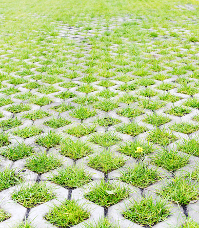 Ecofriendly Parking With Green Grass Stock Photo - Download Image Now