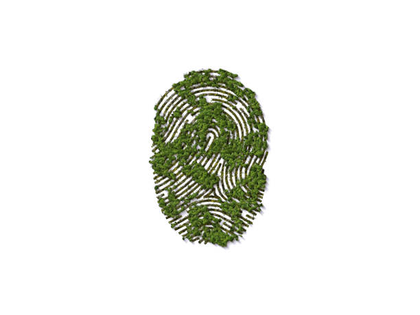Ecofriendy Green Environment Day and Earth Day Concept Fingerprint of trees 3d background. World environment day or earth day concept. World Forestry Day. Earth day green concept. green technology photos stock pictures, royalty-free photos & images