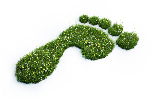 Ecological footprint symbol stock photo Environmental Conservation, Footprint, Green Color, Ecosystem, Environment,nature climate action stock pictures, royalty-free photos & images