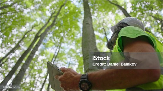 istock Ecologist on fieldwork. Forester examines trees in their natural condition in the forest and taking samples for in-depth research. Ecosystem care and sustainability. 1323675815