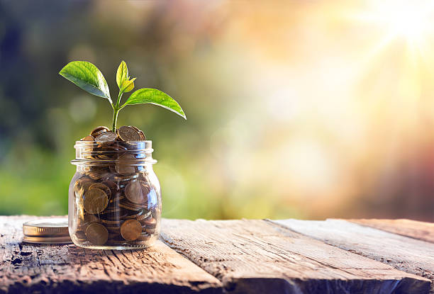 Economy, Investment And Saving Concept Plant Growing In Savings Coins - jar stock pictures, royalty-free photos & images