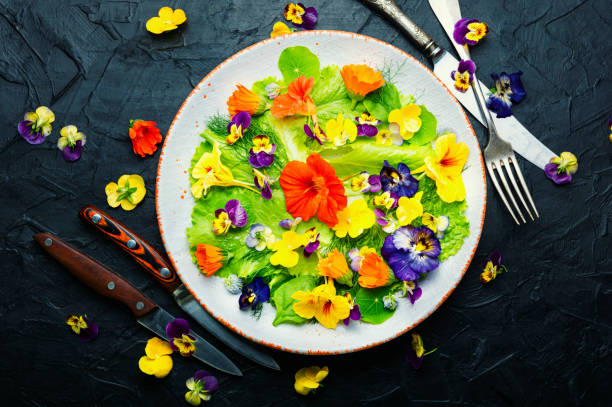 Edible flower salad in the plate stock photo