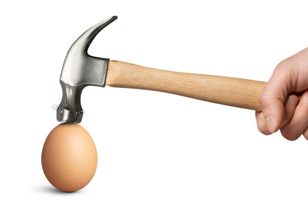 Egg and cracked hammer on white stock photo