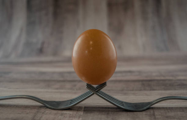 Egg and forks stock photo