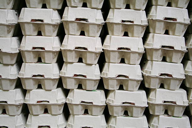 Egg Cartons stock photo