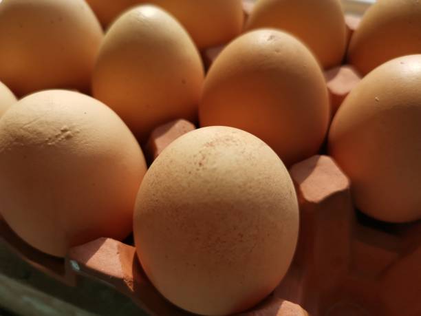 Egg collection A collection of eggs in a terracotta egg tray normalisaverage stock pictures, royalty-free photos & images
