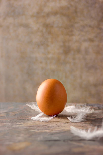 egg on a stone tile with feathers stock photo