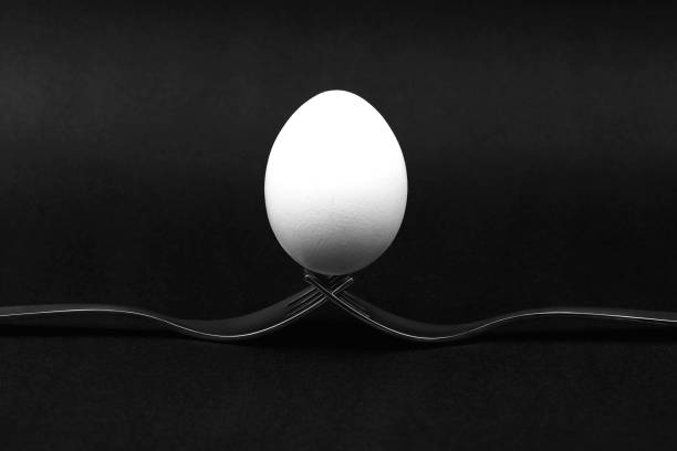 Egg On Black Background stock photo