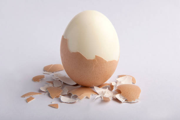 egg boiled egg boiled egg stock pictures, royalty-free photos & images