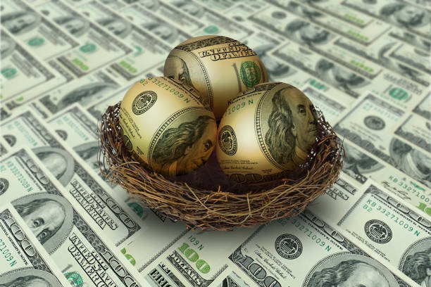 egg shaped money in nest on dollar background egg shaped money in nest on dollar background nest egg stock pictures, royalty-free photos & images