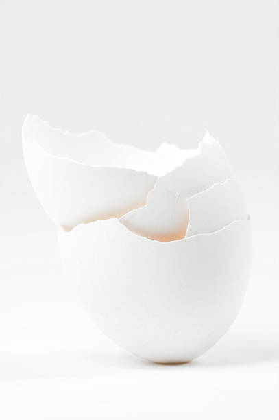 Egg Shell Stack stock photo