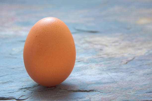 egg shot on a stone background stock photo
