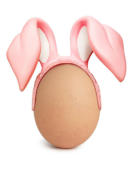 Egg with rabbit ears stock photo