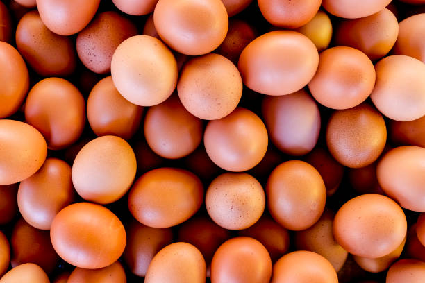 eggs background stock photo