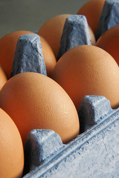Eggs in carton stock photo