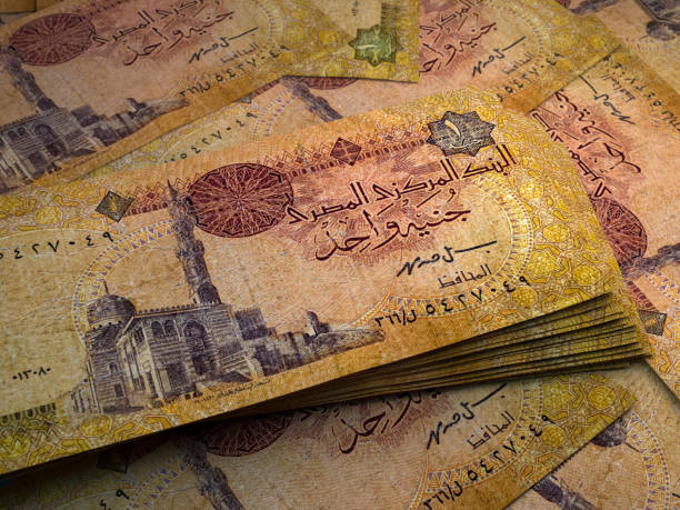 Egyptian banknotes. Egyptianpound bills. 1 EGP pounds. Business, finance background. stock photo