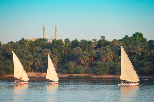 Egyptian felucca sailboats sail into the setting sun on the Nile River in Aswan Egypt