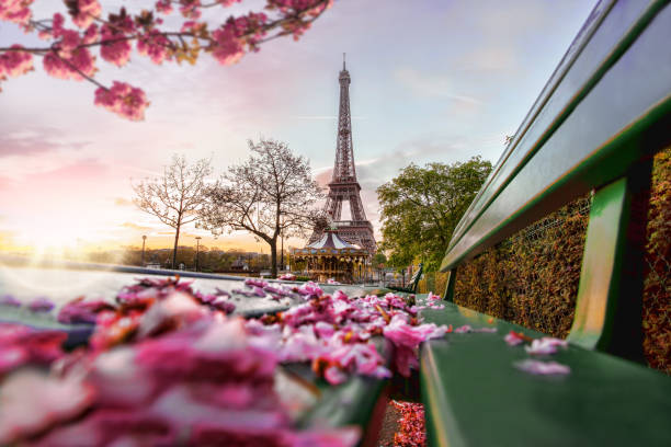 Eiffel Tower during spring time in Paris, France stock photo