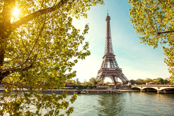 eiffel tower in paris, france - paris imagens e fotografias de stock