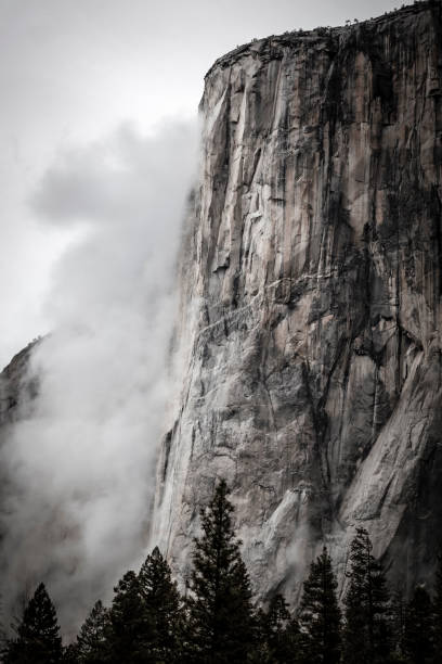El Cap Yosemite National Park,California, U.S.A. californian sierra nevada stock pictures, royalty-free photos & images