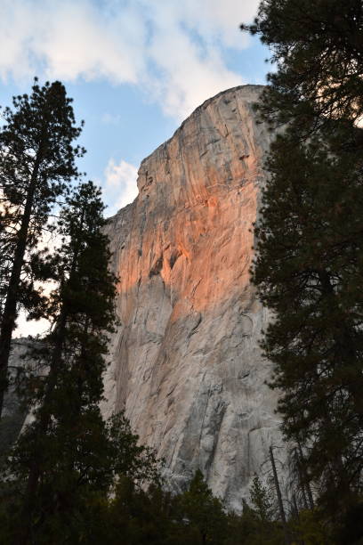 El Capitan at Sunset Vertical Yosemite Valley View steven harrie stock pictures, royalty-free photos & images