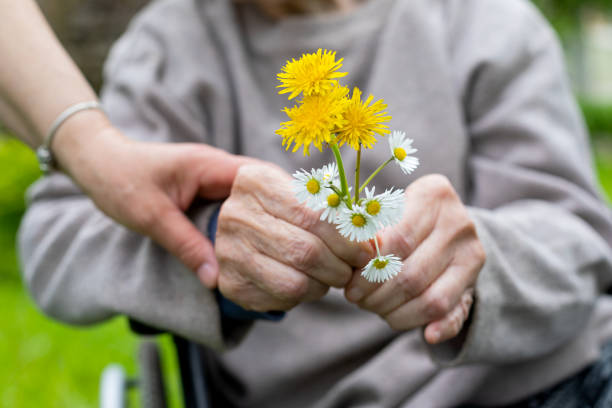 Elderly care - hands, bouquet Close up picture of elderly woman with dementia holding flower bouquet given by caretaker - hands dementia stock pictures, royalty-free photos & images