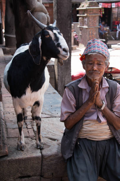Elderly man with his goat greeting visitors to a courtyard in Nepalese village Kathmandu, Nepal stock photo