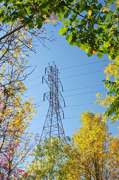Electric Pylon surrounded with trees  buzbuzzer energy cable steel cable stock pictures, royalty-free photos & images