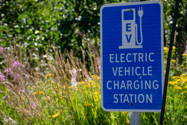 Electric vehicle only charging station sign for environmentally friendly vehicles with a green grass and flower background. stock photo