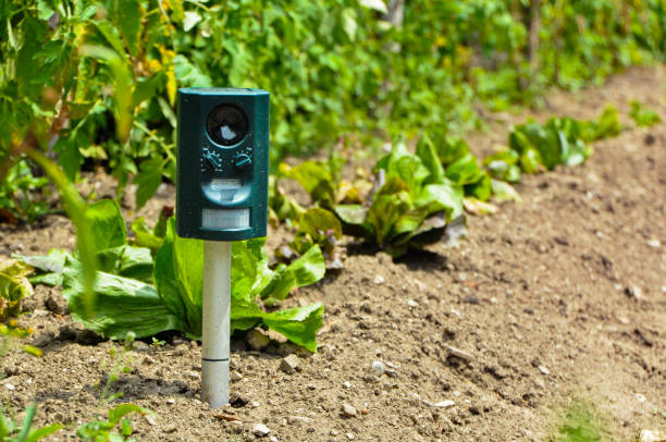 Electronic pest repeller on the vegetable garden. stock photo
