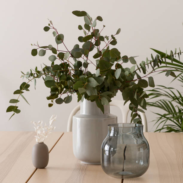 Elegant vase with eucalyptus twigs, close-up stock photo