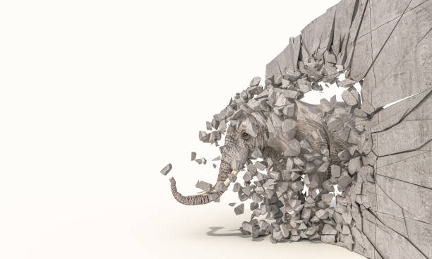 elephant destroys a wall and passes through it. stock photo