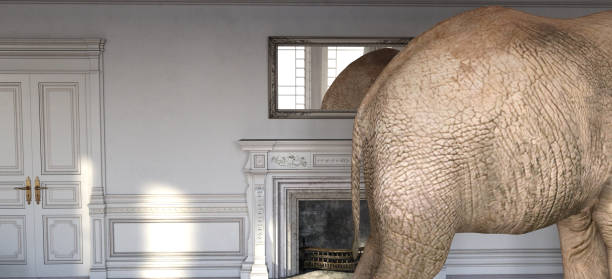 An Elephant in the room of an 18th Century French Chateau