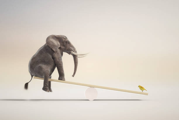 Elephant on balance with a canary.  Mindset and skill concept. This is a 3d render illustration stock photo