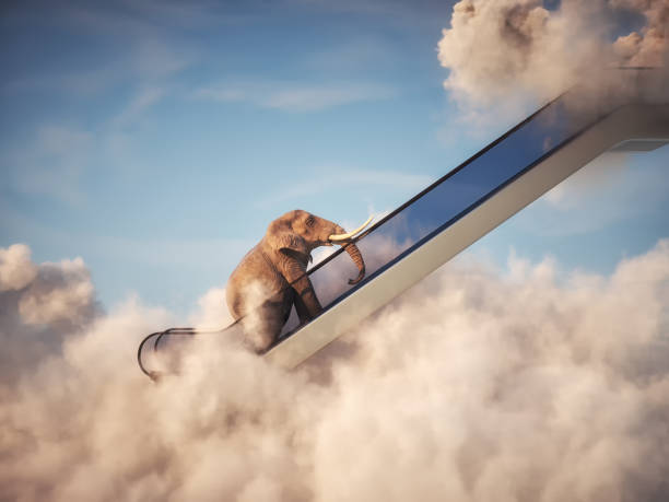 Elephant on escalator above clouds. Aspirations and promotion concept. stock photo
