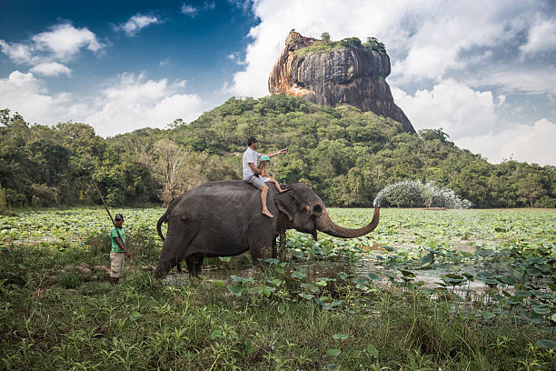 Elephant ride Man and child riding on the back of elephant with rock of Sigiriya as backdrop. sri lanka stock pictures, royalty-free photos & images