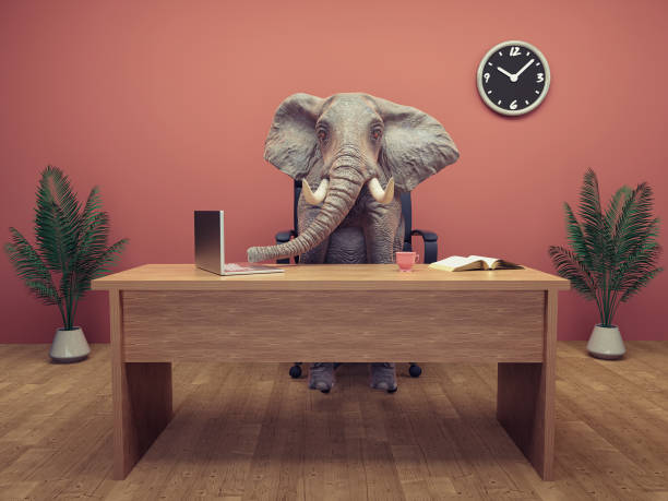 Elephant sits at the office. This is a 3d render illustration stock photo