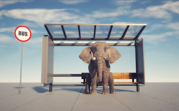Elephant sitting in a bus station. This is a 3d render illustration.  Computer composites, illustrations or CGI of animals in unnatural situations are acceptable. stock photo