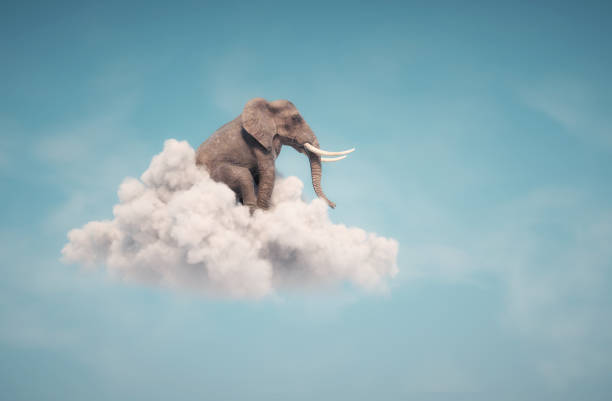 Elephant sitting on a cloud in the sky . Dreaming and aspirations concept . This is a 3d render illustration stock photo