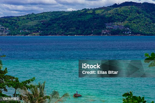 istock elephant swimming in the Bay of Patong Phuket Thailand turquoise blue waters palms trees on a lovely sunny blue sky day 1361491831
