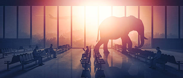 Elephant walking at the airport Elephant walking at the airport. oversized object stock pictures, royalty-free photos & images