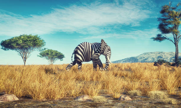 Elephant with a zebra skin walking in savannah . This is a 3d render illustration stock photo