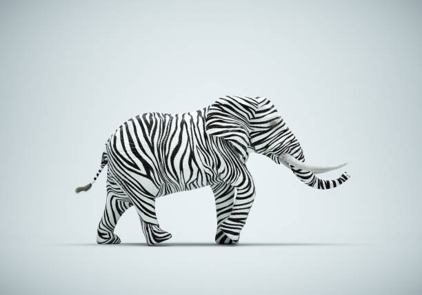 Elephant with zebra skin on studio background. Be different and mindset change concept. stock photo