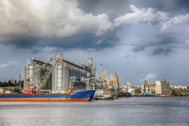 Elevating complex for transshipment of grain and oilseeds as part of a reloading terminal. Transportation of agricultural products and port cranes - Image stock photo